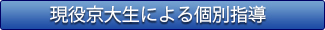 現役京大生による個別指導